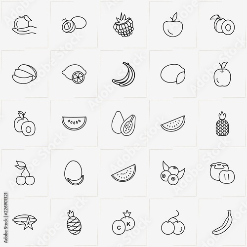 Berries And Fruits line icon set with mango, melon and watermelon