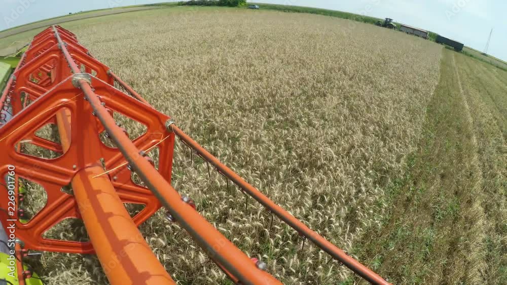 Combine Harvester Harvesting Wheat Combine Harvester Harvesting Wheat