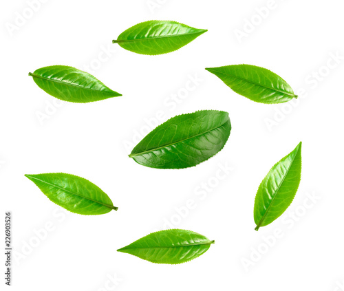 Green tea leaf isolated on white background © watkung