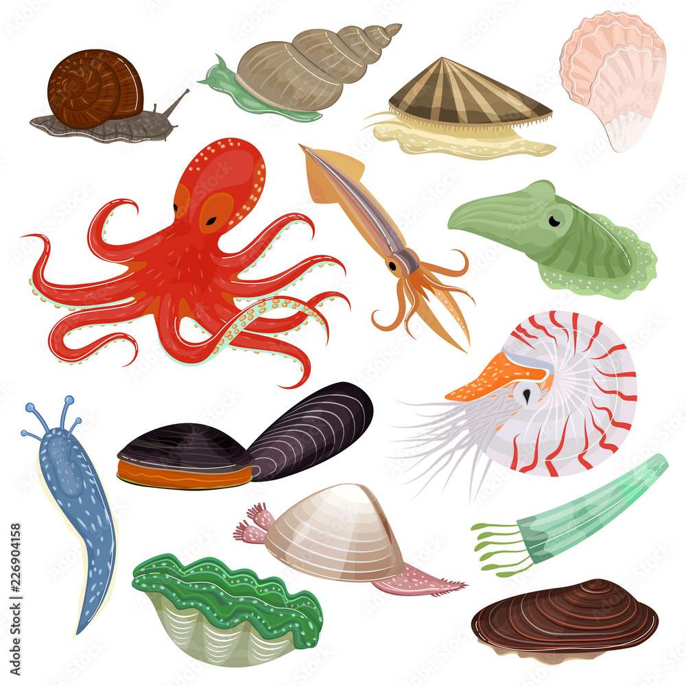 Shellfish vector marine animal octopus molluscs tentacle and animalistic  character octopi oyster snail in sea illustration set of seafood cuttlefish  and devilfish isolated on white background Stock Vector | Adobe Stock