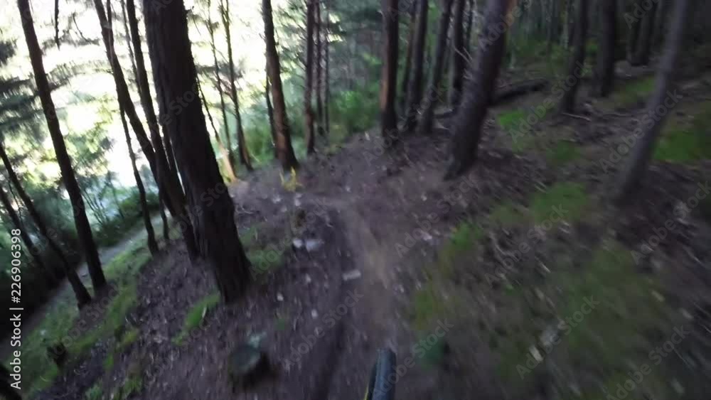 POV, mountain biking in forest in slow motion