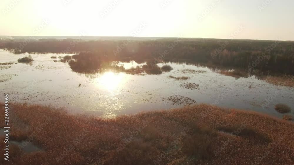 Horizontal tracking pan video shot of recreational area in Belarus flooded woods at sunset 4k. Drone copter flying backwards aside over watered river delta swamp trees shining sun reflecting in water