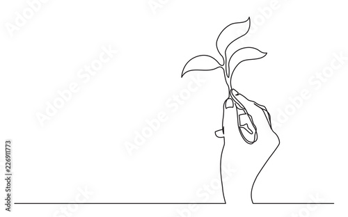 continuous line drawing of hand holding growing plant