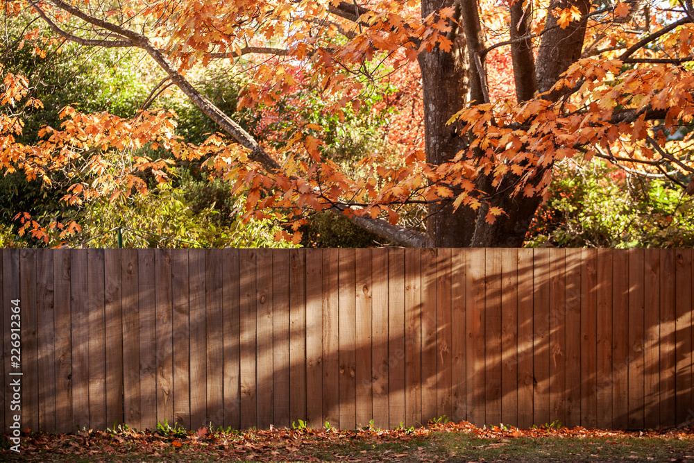 Naklejka premium wood wall and maple leaf in autumn concept