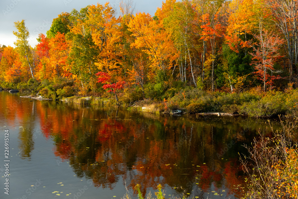 Fall foliage yellow, orange, green and red leaves on trees on a ledge in a cove with colors reflected in the lake