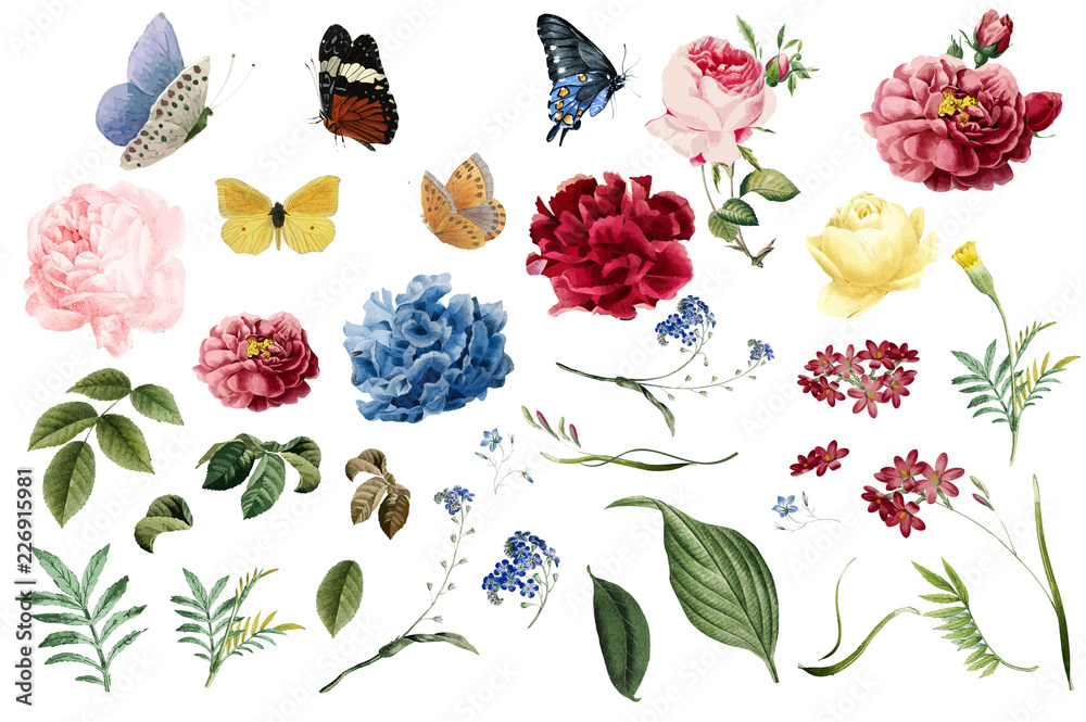 Naklejka premium Różne romantyczne ilustracje kwiatów i liści