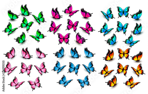 Colorful butterflies set. Vector.