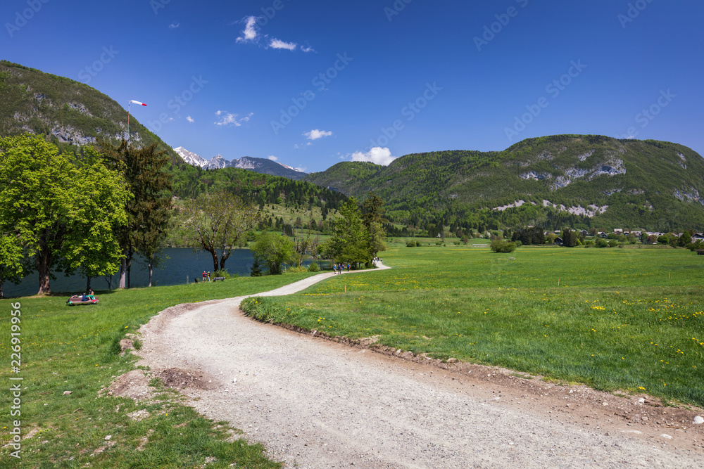 Landscape view of one wooden rural cottage on green meadow surrounded with green forest. Summer in Bohinj, Stara Fuzina, Slovenia,Europe.