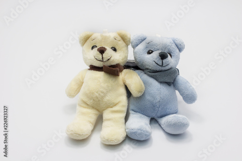 Teddy bear  and her friend