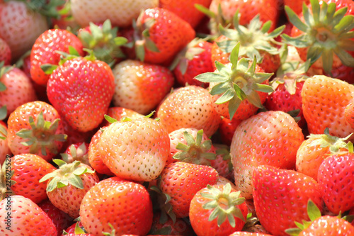 Fresh Strawberry Background