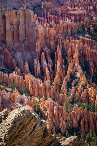 Hoodoes of Bryce Canyon, Utah