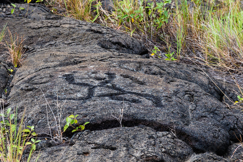 Petroglyphs in lava rock at Pu'uloa along Chain of Craters road, in volcano National Park on the island of Hawaii. Carvings are 400-700 years old. photo
