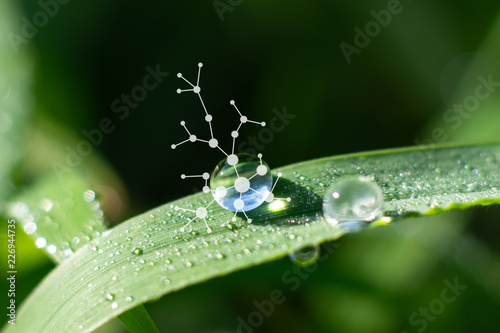 Plants background with biochemistry structure.
