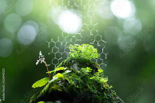 Plants background with biochemistry structure. photo