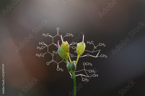 Plants background with biochemistry structure.