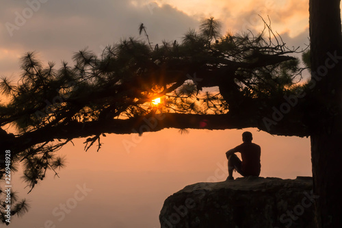 Sunset with silhouette of tree. © verapon
