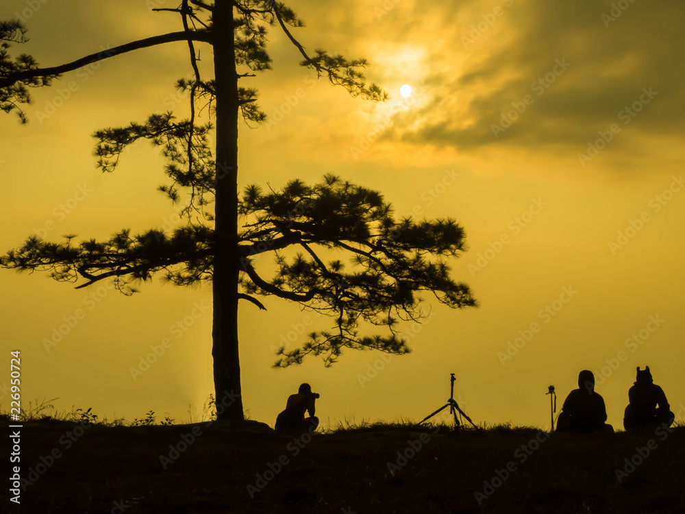 Silhouette of tree with photographer on yellow sky background.