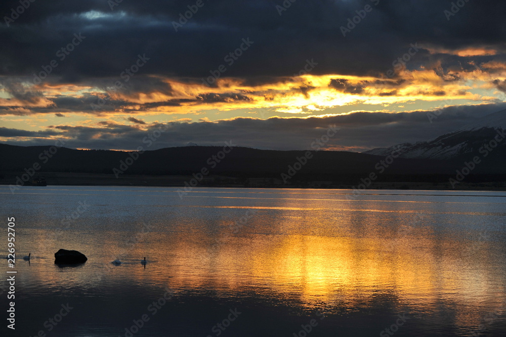 Scenic sunset and swans on the water.