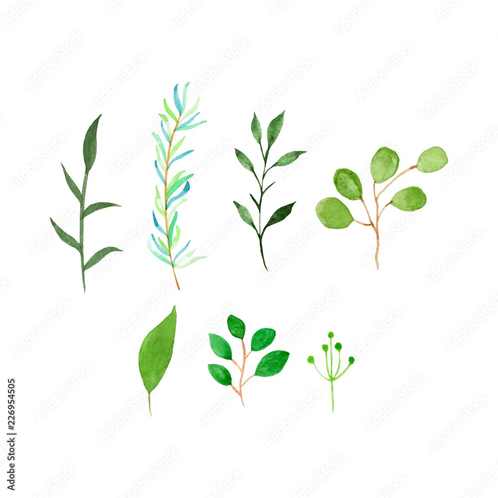 watercolor green leaves watercolor green leaves