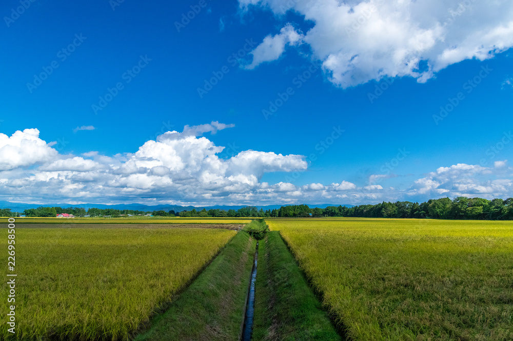 Fototapeta premium 岩手県北上市金ヶ崎町