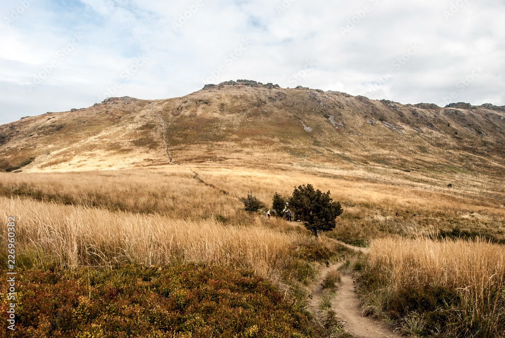 Obraz premium Przelecz Goprowska with Krzemien hill on the background in autumn Bieszczady mountains in Poland