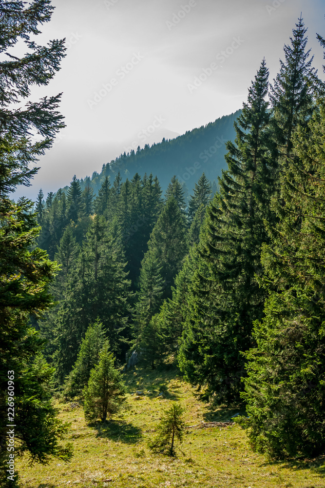 Obraz premium An autumn day in the mountains.