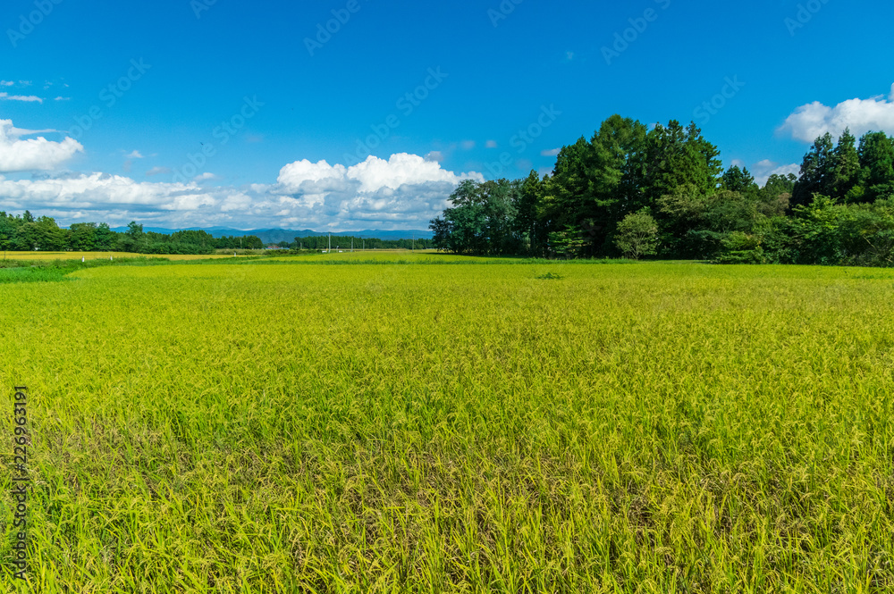 岩手県北上市金ヶ崎町