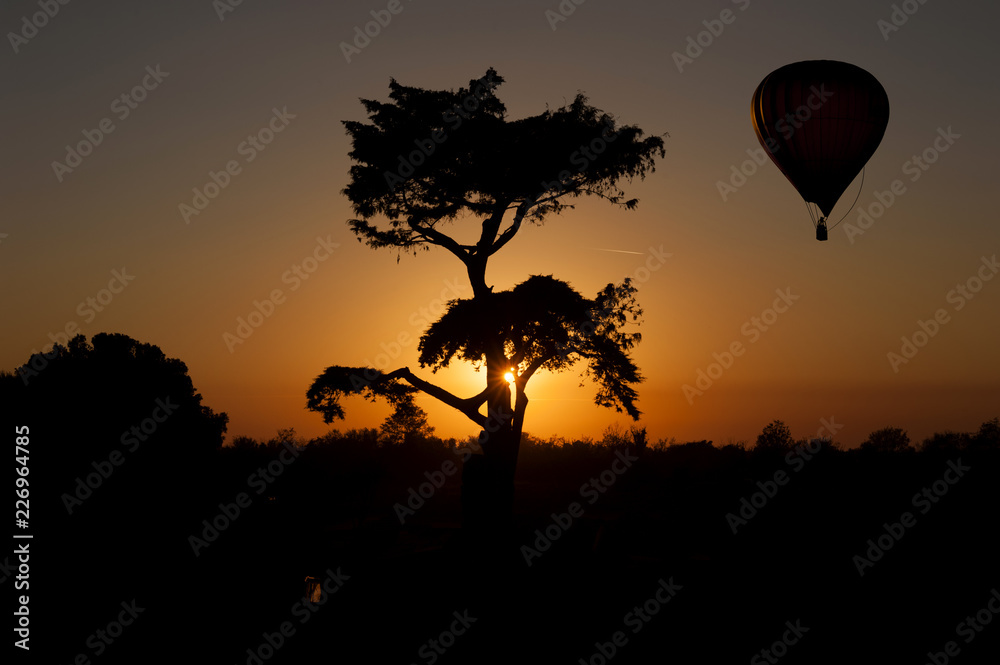 Hot air balloon flying at sunset.