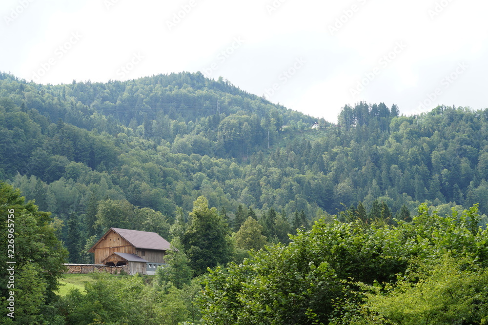 a small wooden shed with a hedge in the mountains against the forest
