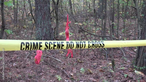 A sex offender (sexual offender, sex abuser, or sexual abuser) is a person who has committed a sex crime. 