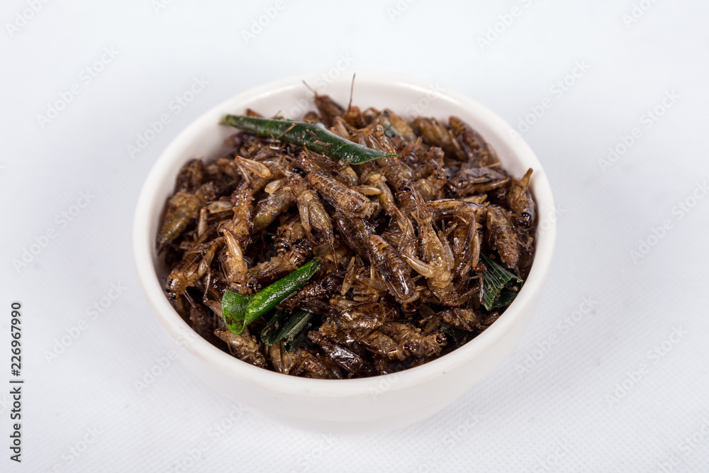 Fried crickets isolated on white