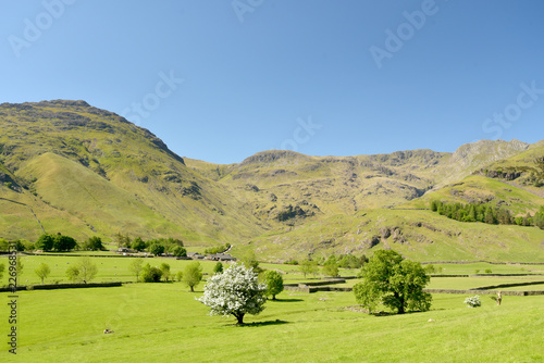 Crinkle Crags at head of Mickleden valley, Lake District photo