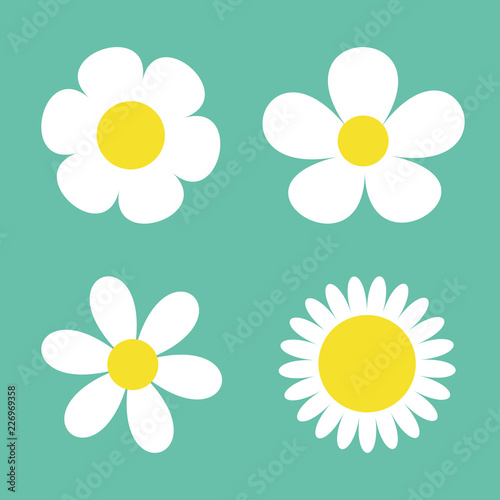 Camomile set. Four white daisy chamomile icon. Cute round flower plant collection. Love card symbol. Growing concept. Flat design. Green background. Isolated.