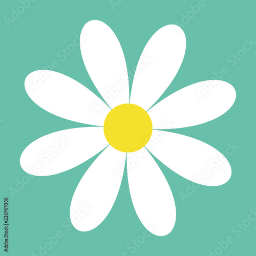 Fototapeta Naklejka Na Ścianę i Meble -  White daisy chamomile. Cute flower plant collection. Camomile icon. Love card. Growing concept. Flat design. Isolated. Green background.