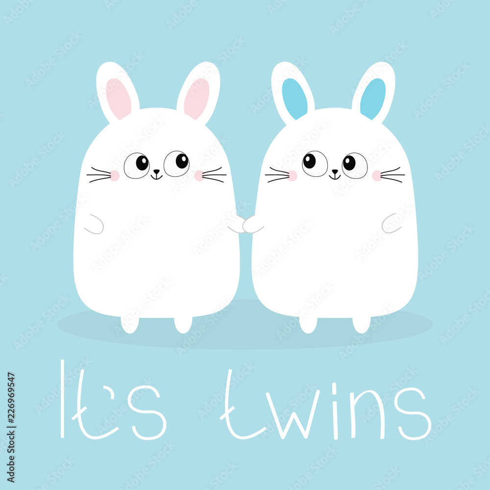 Its Twins Boy Girl Two Cute Twin Bunny Rabbit Set Holding Hands Hare Head Couple Family Icon Cute Cartoon Funny Smiling Character Set Blue Background Isolated Flat Design Stock Vector Adobe Its Twins Boy Girl Two Cute Twin Bunny Rabbit Set Holding Hands Hare Head Couple Family Icon Cute Cartoon Funny Smiling Character Set Blue Background Isolated Flat Design Stock Vector Adobe