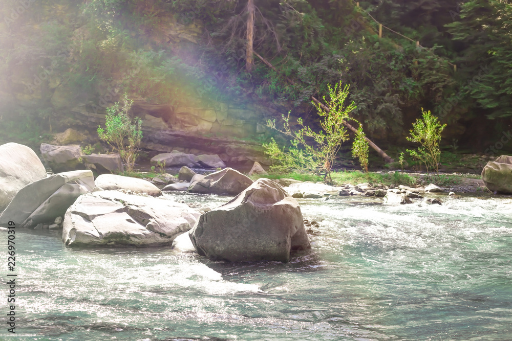 Fototapeta premium Mountain river with rocks in beautiful forest