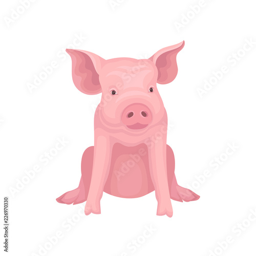 Cute little pig sitting isolated on white background. Farm animal with pink skin, flat nose and big ears. Vector design