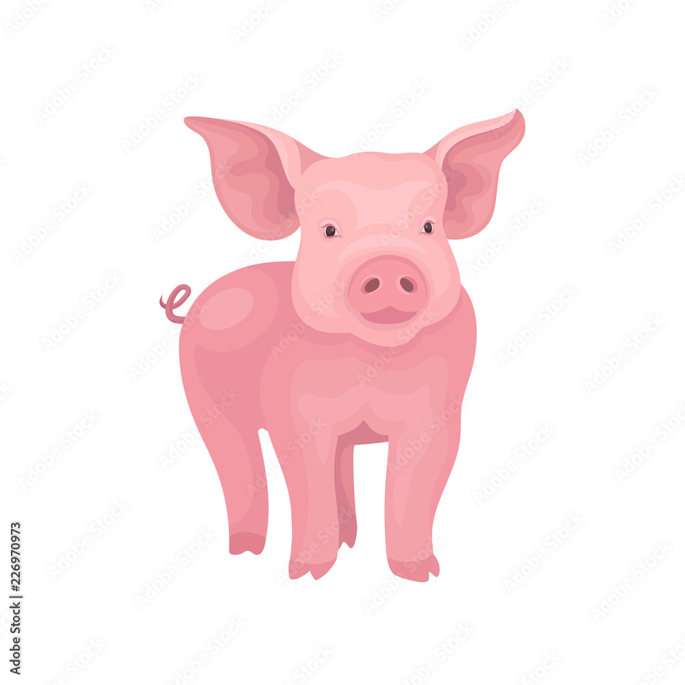 Little piglet standing isolated on white background. Farm pig with pink skin, flat snout, swirling tail and big ears. Vector design
