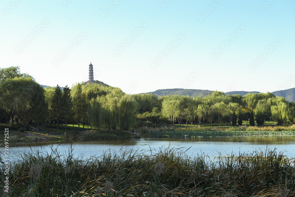 Obraz premium old tower on the river