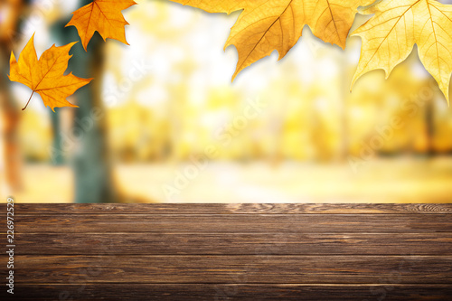Background with yellow maple leaves. Аutumnal colored. Frame from autumn leaves. Soft focus.