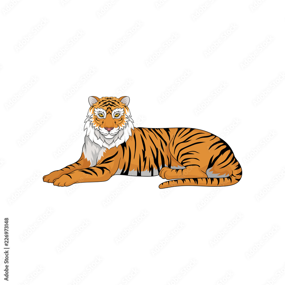 Tigers Wild Cat Vector & Photo (Free Trial)