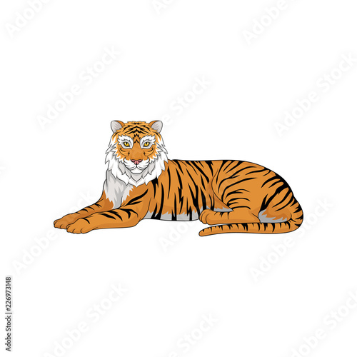 Lying Bengal tiger isolated on white background. Large wild cat. Animal with orange coat and black stripes. Vector illustration