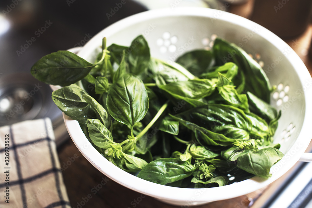 Fresh green basil in the kitchen Fresh green basil in the kitchen