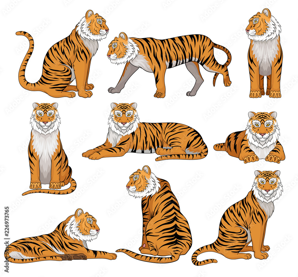 Tigers Wild Cat Vector & Photo (Free Trial)