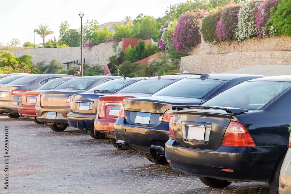 Fototapeta premium Row of parked cars on city street