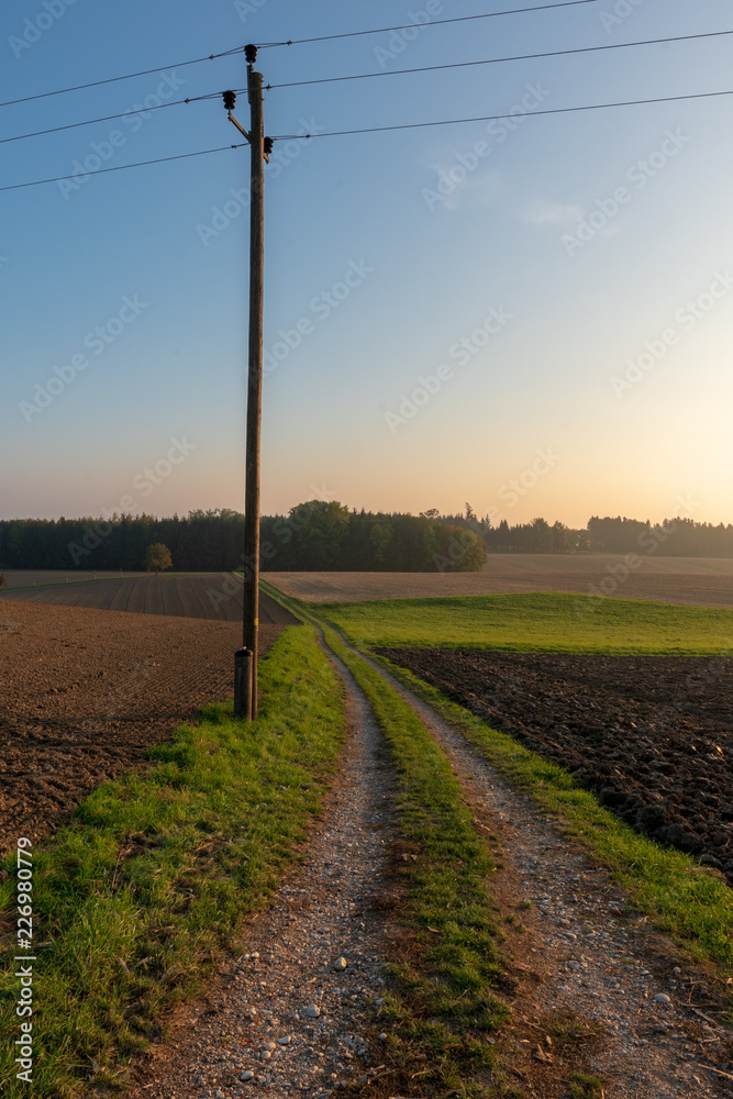 Landschaft mit Strommast bei tiefstehender Sonne im Herbst