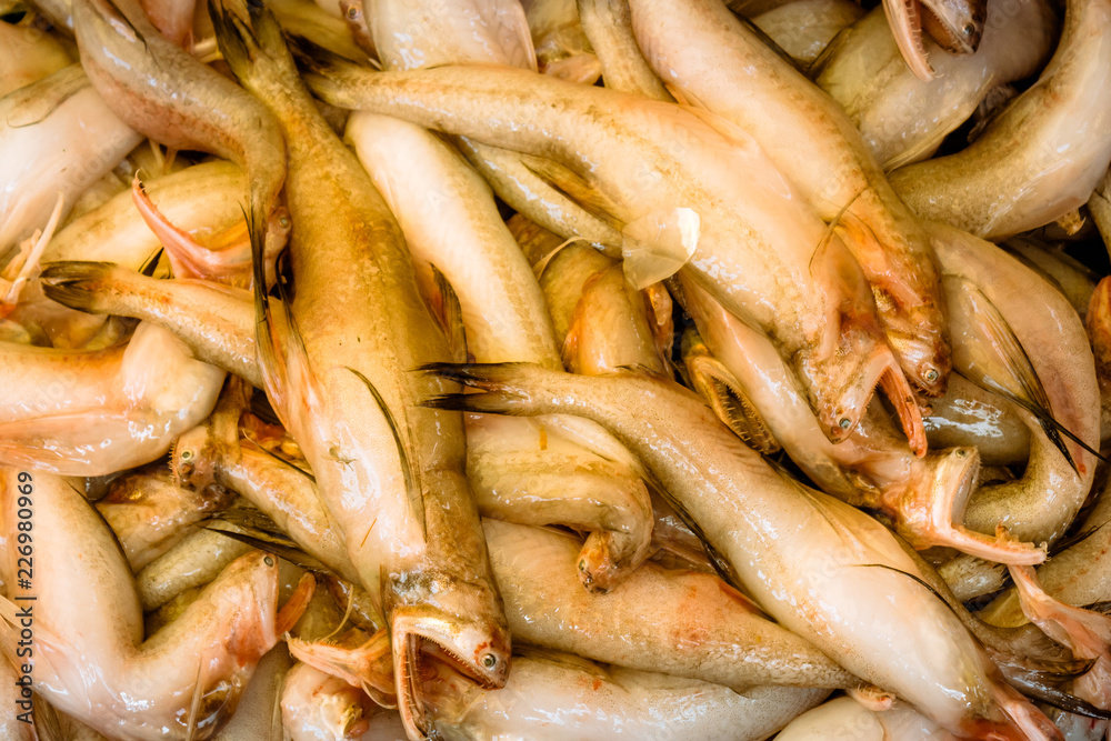 Fish at a street market in the Koley Market area of Kolkata, West Bengal, India, Asia