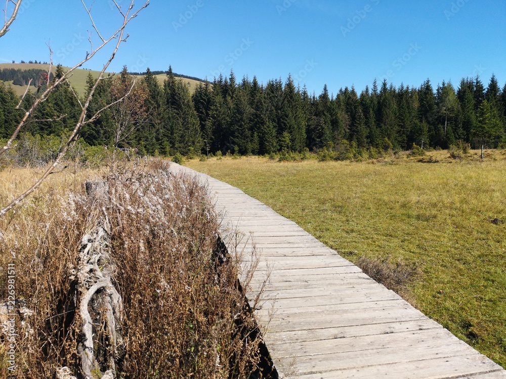 Fototapeta premium Teichalm in der Steiermark mit Bergen und See