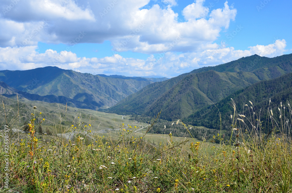 Перевал Чике-Таман 1400 м, Россия, Республика Алтай