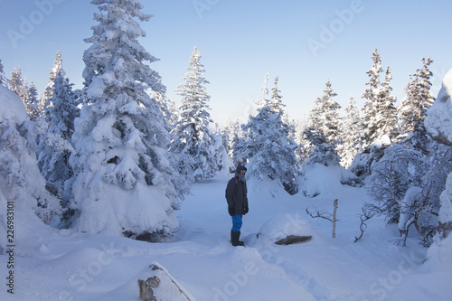 Man in the forest, winter day